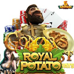ludotheque-5gringos-casino